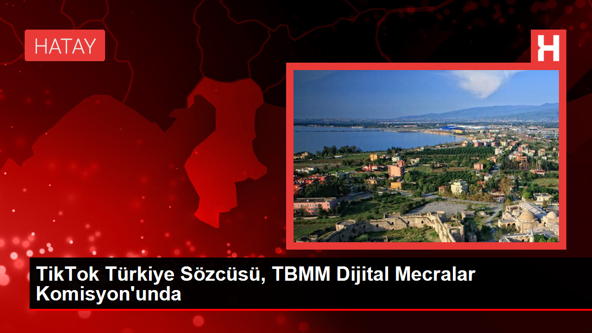 TikTok Turkiye Sozcusu TBMM Dijital Mecralar Komisyonunda